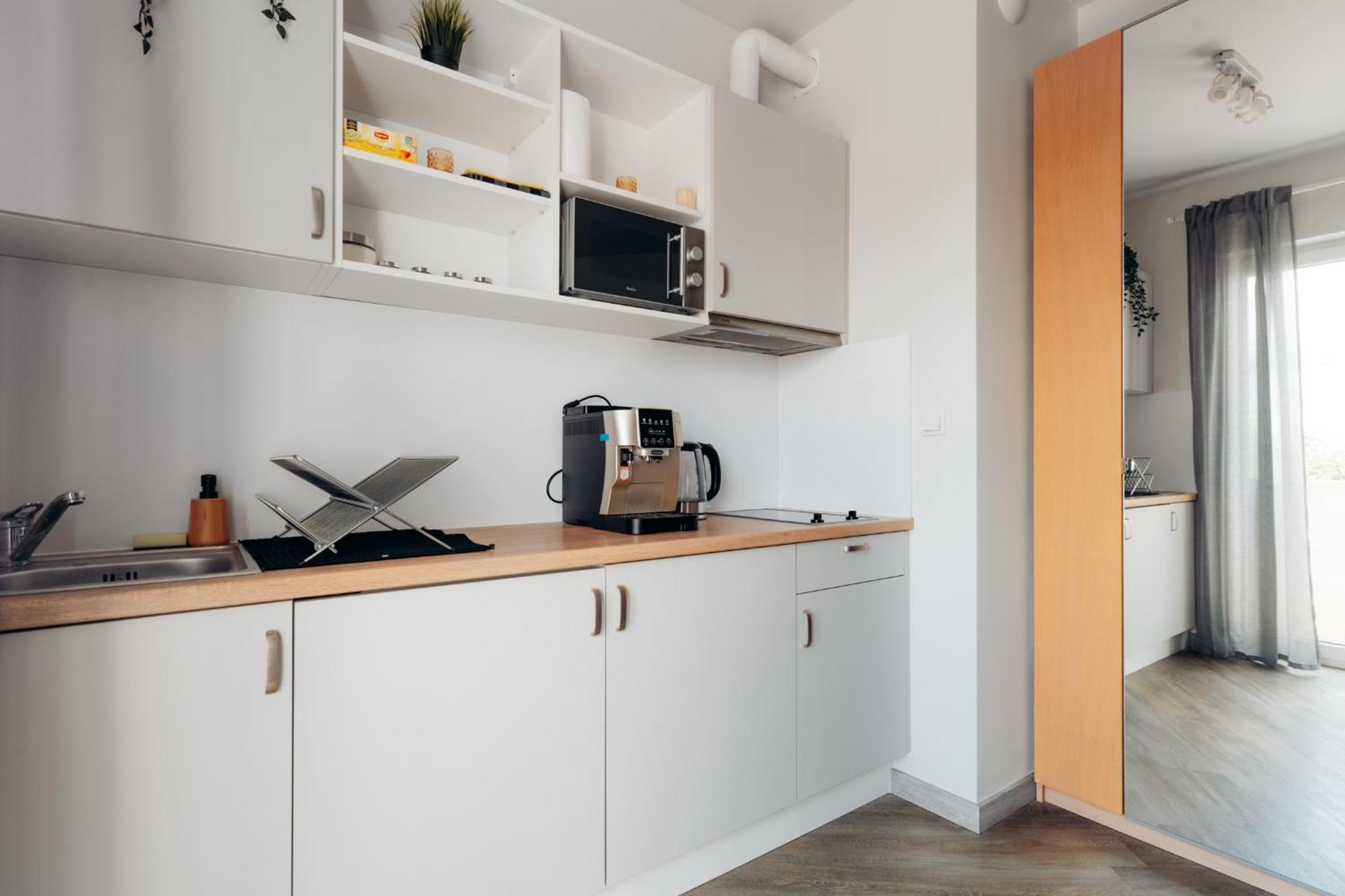 Apartament Przyjazni *